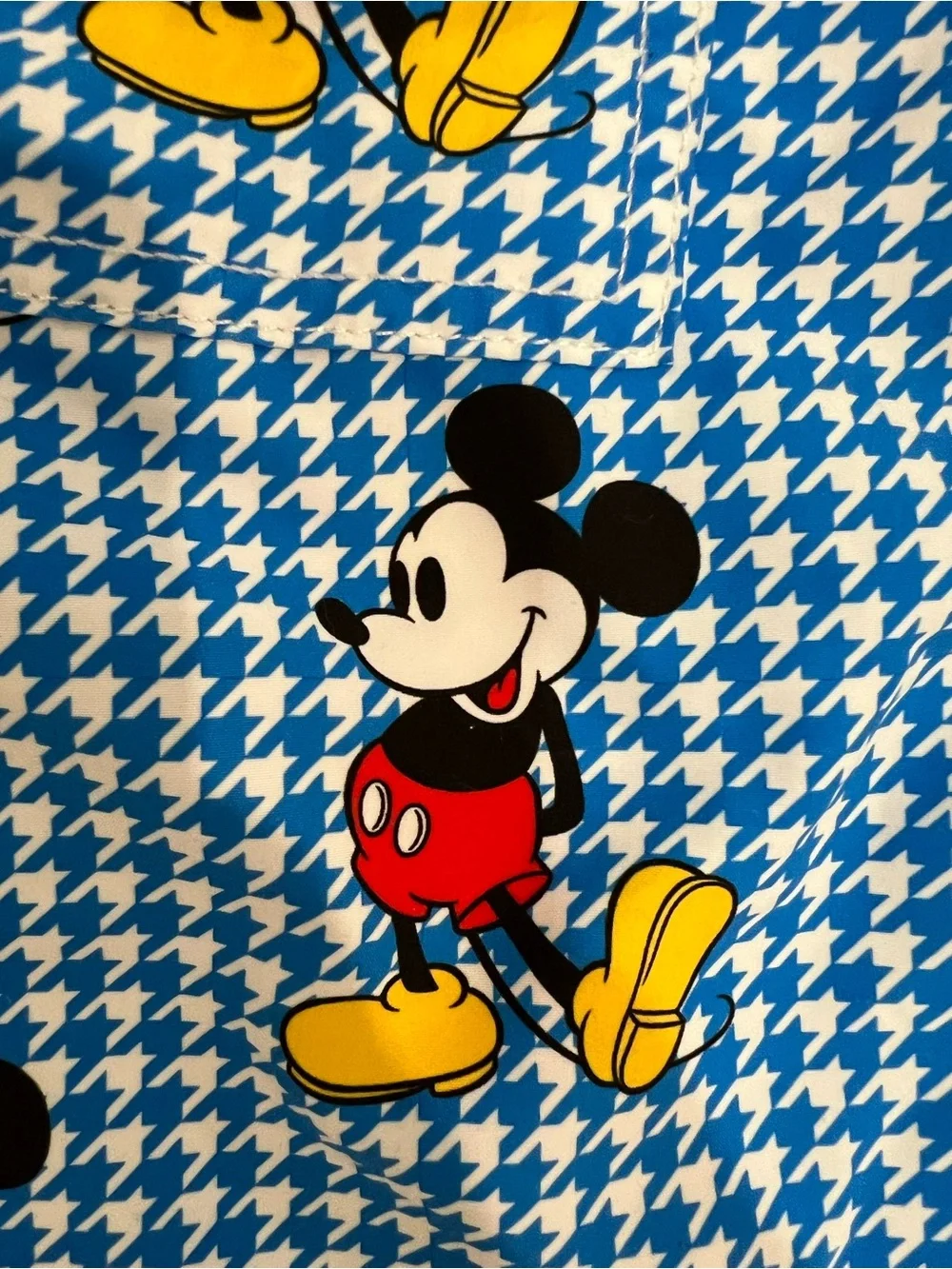 MC2 Saint Barth Disney Mickey Mouse Swim Trunks Boys Size 10Y